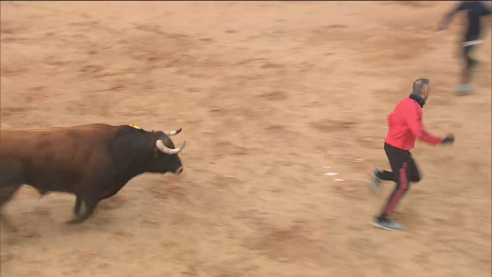 Carabaña disfruta de uno de los últimos encierros del año en Madrid
