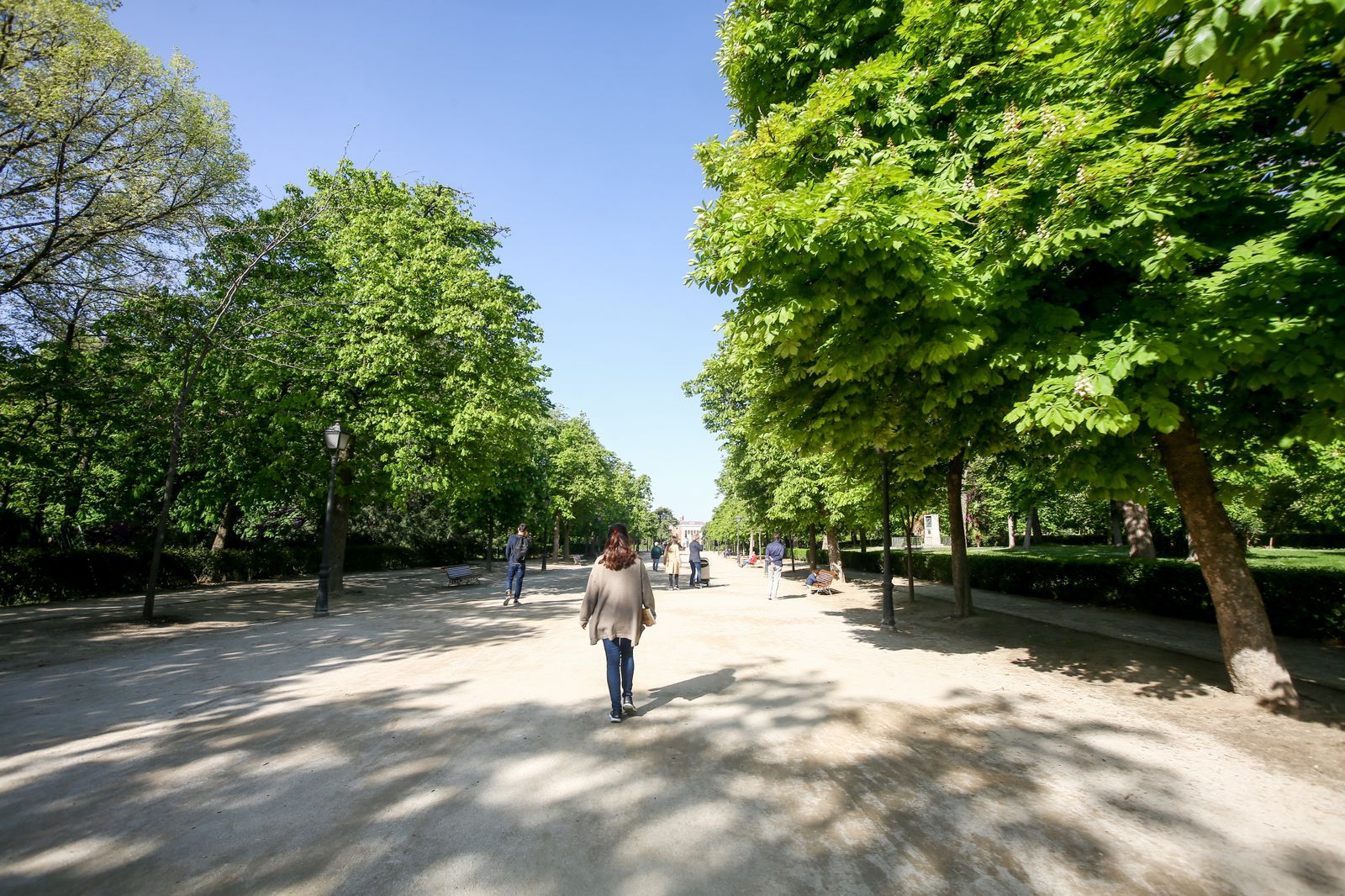 Imagen del parque del Retiro