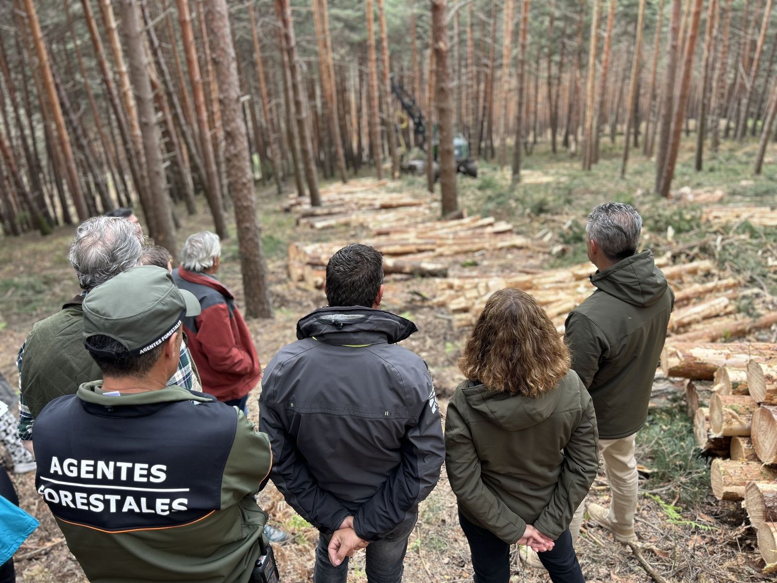 Gascones aprovecha la madera de sus montes y evita incendios forestales