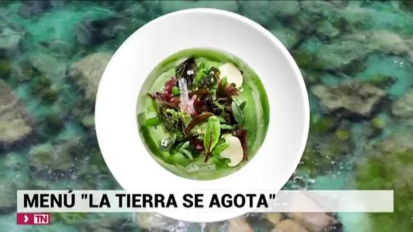 Deliciosos bocados de los Roca por la cumbre del clima