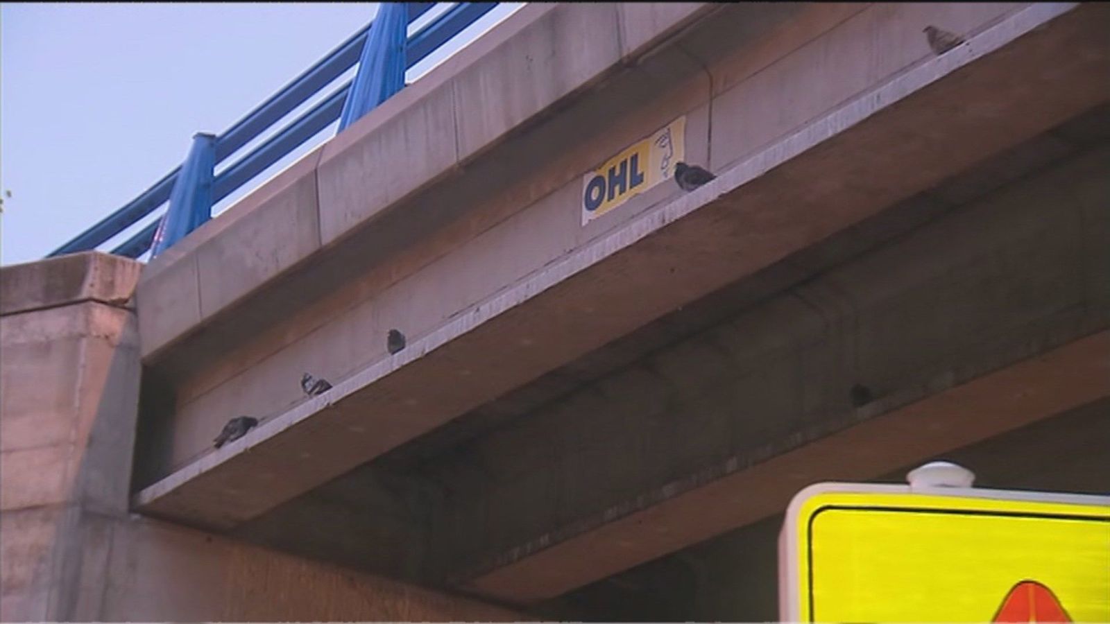 Denuncian que tienen que esquivar excrementos de palomas de camino al cole en un puente de la M-607 en Fuencarral
