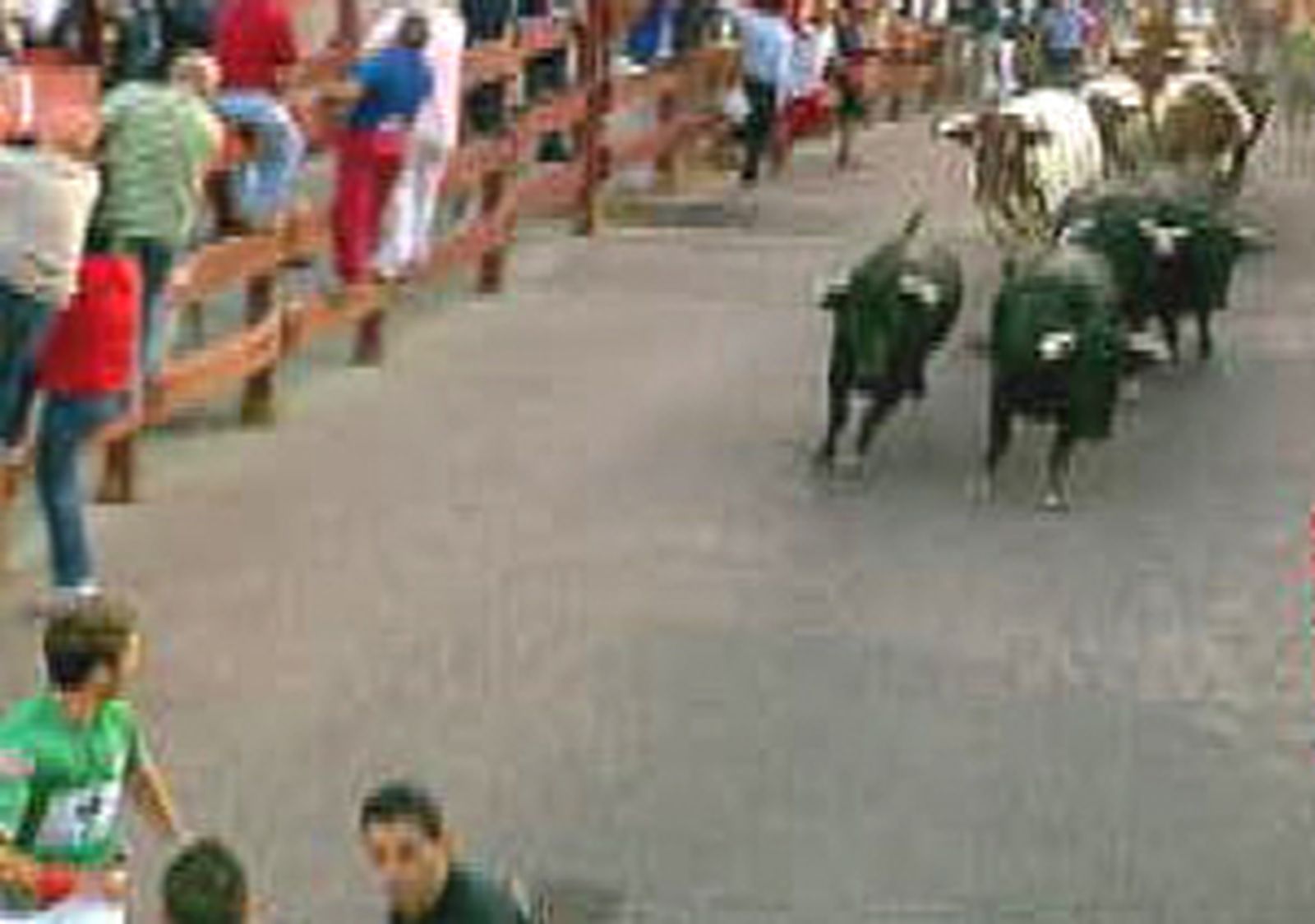 Primer encierro muy rápido y limpio en San Sebastián de los Reyes