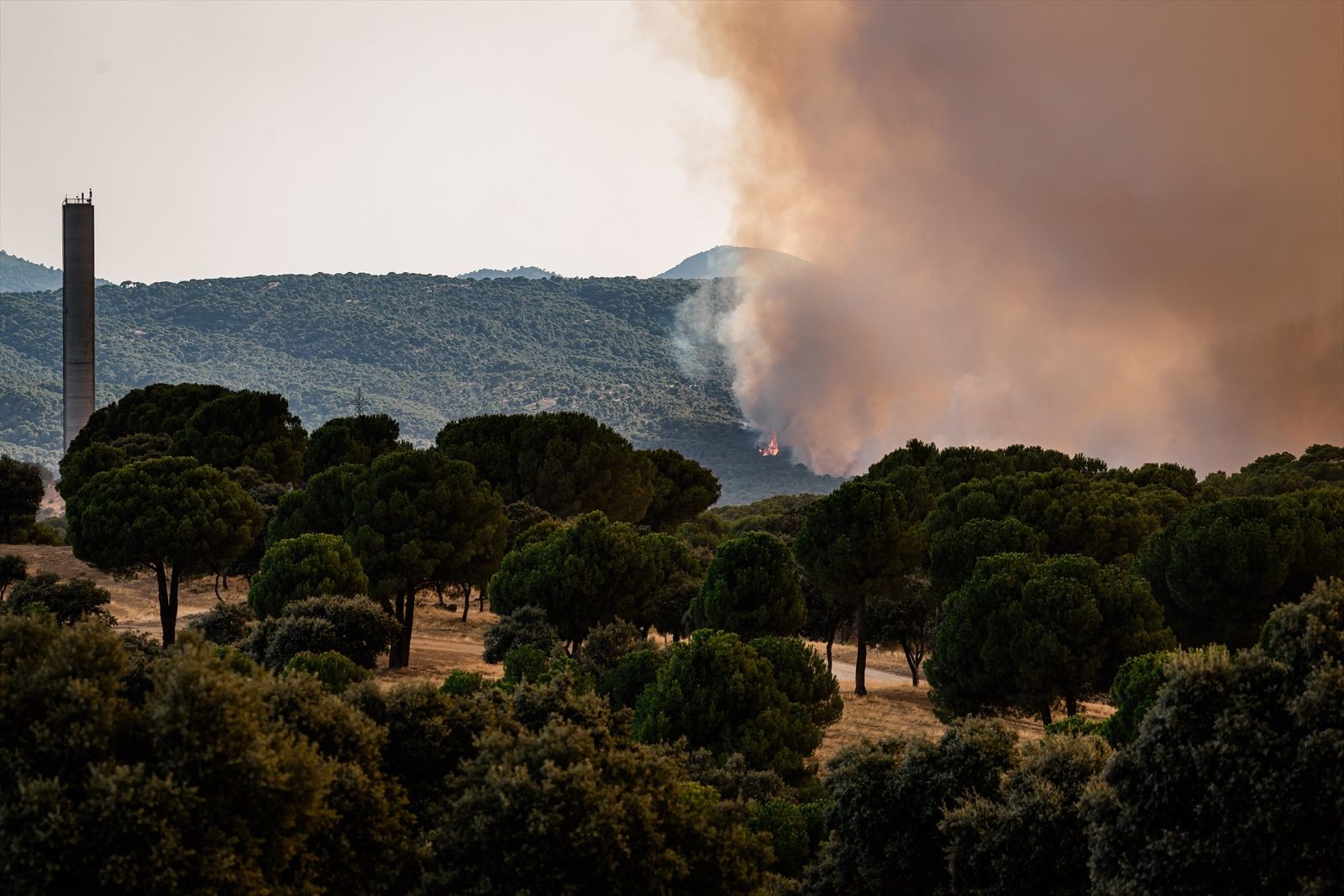 Incendio forestal en San Martín de Valdeiglesias