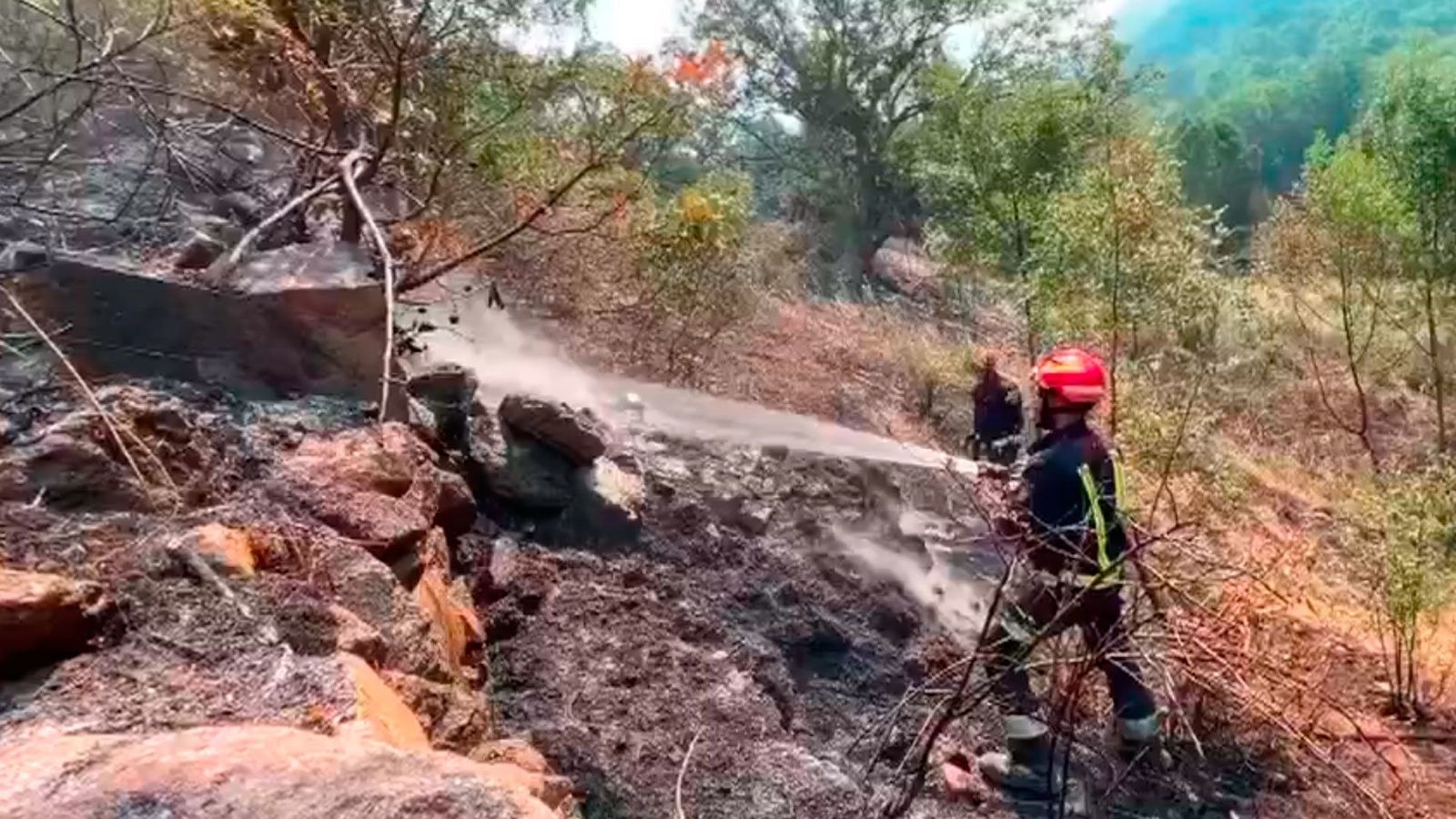 El incendio de Navalacruz sigue sin control en su flanco sur, con 20.000 hectáreas calcinadas
