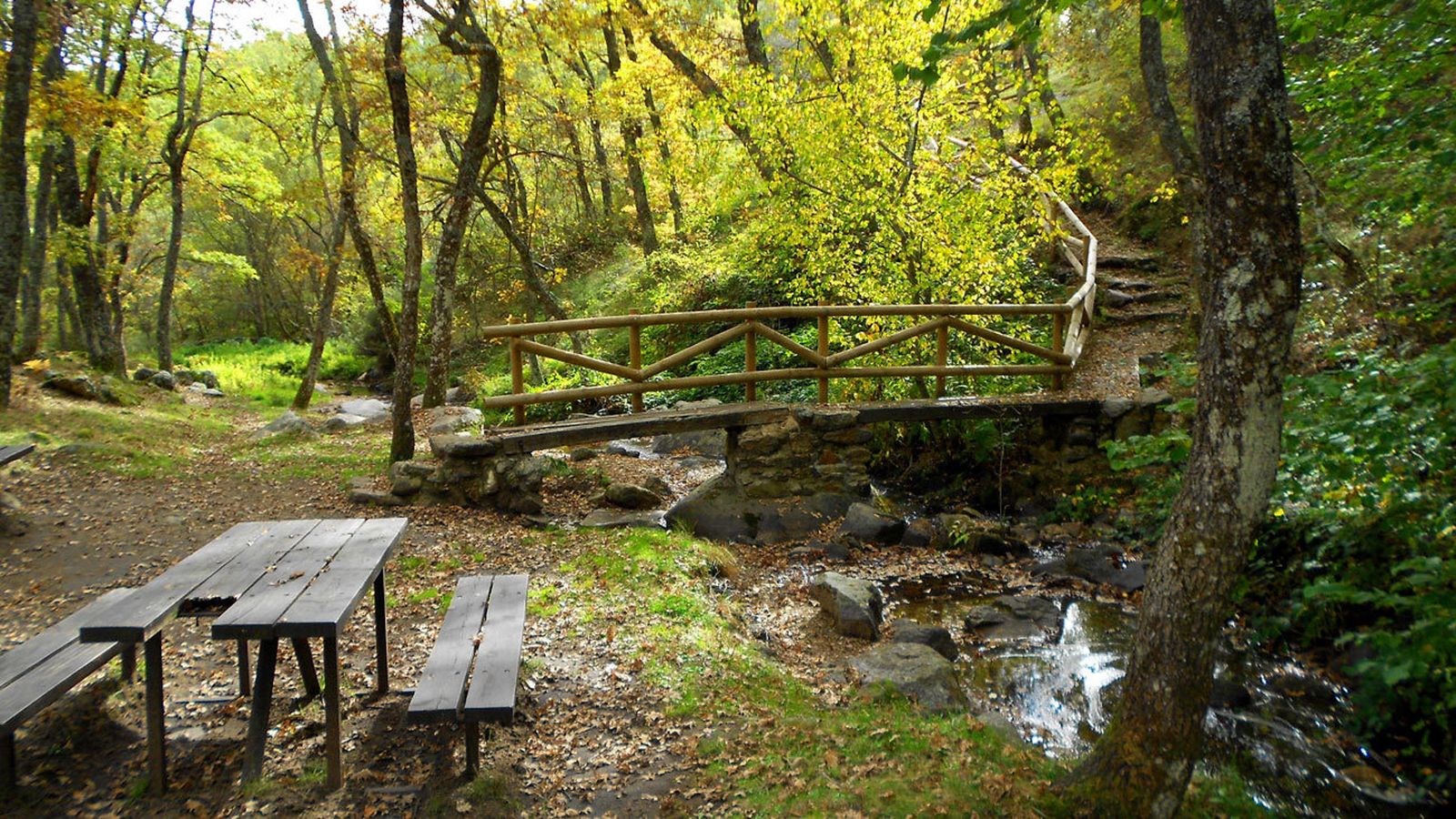 Zona de 'La Dehesa', en La Acebeda