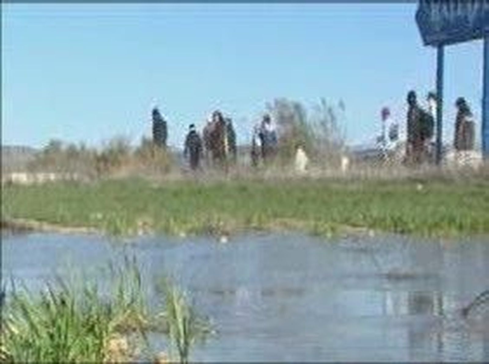 Buscan_2011123V0.wmv