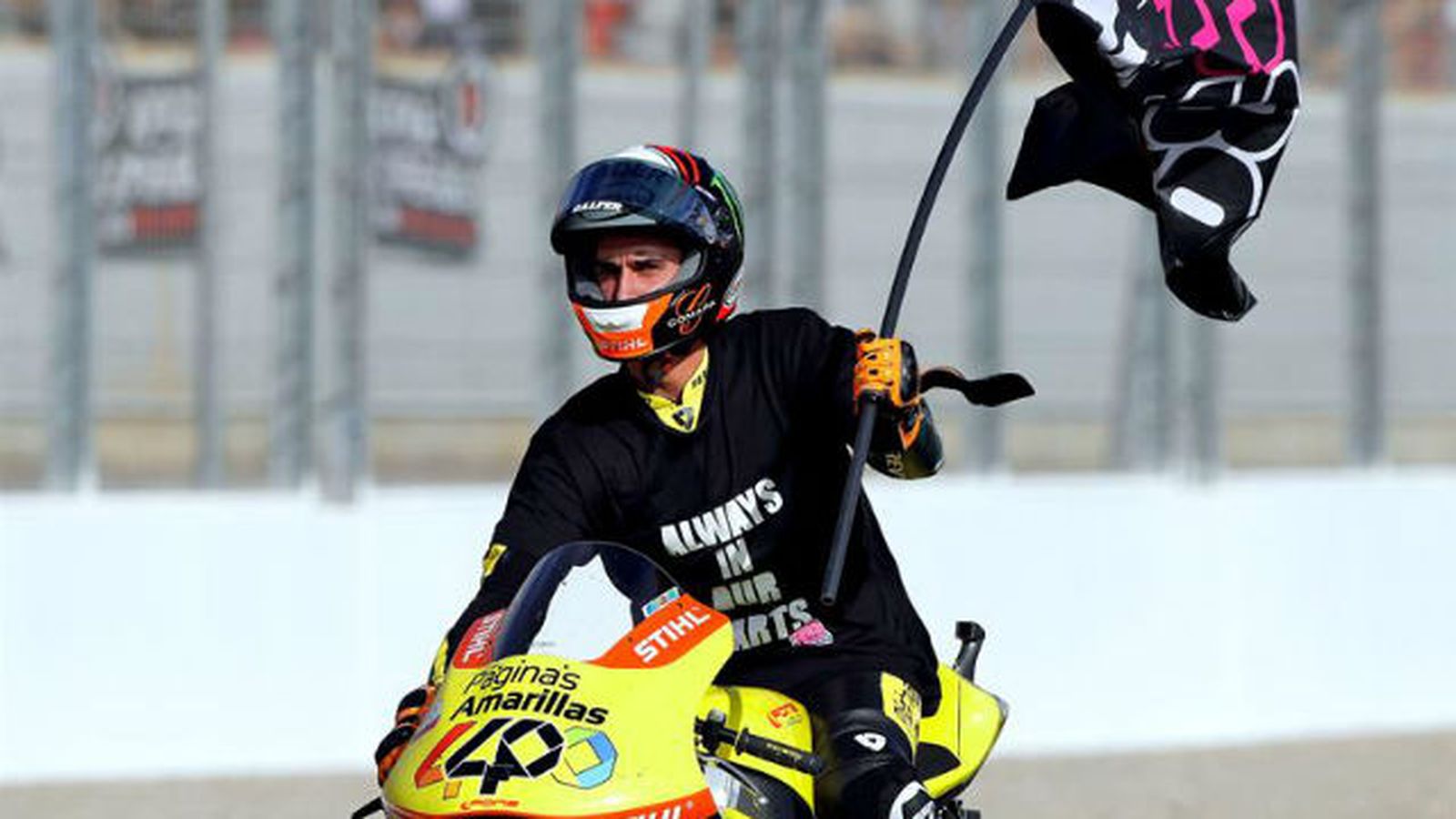 rins1311.jpg