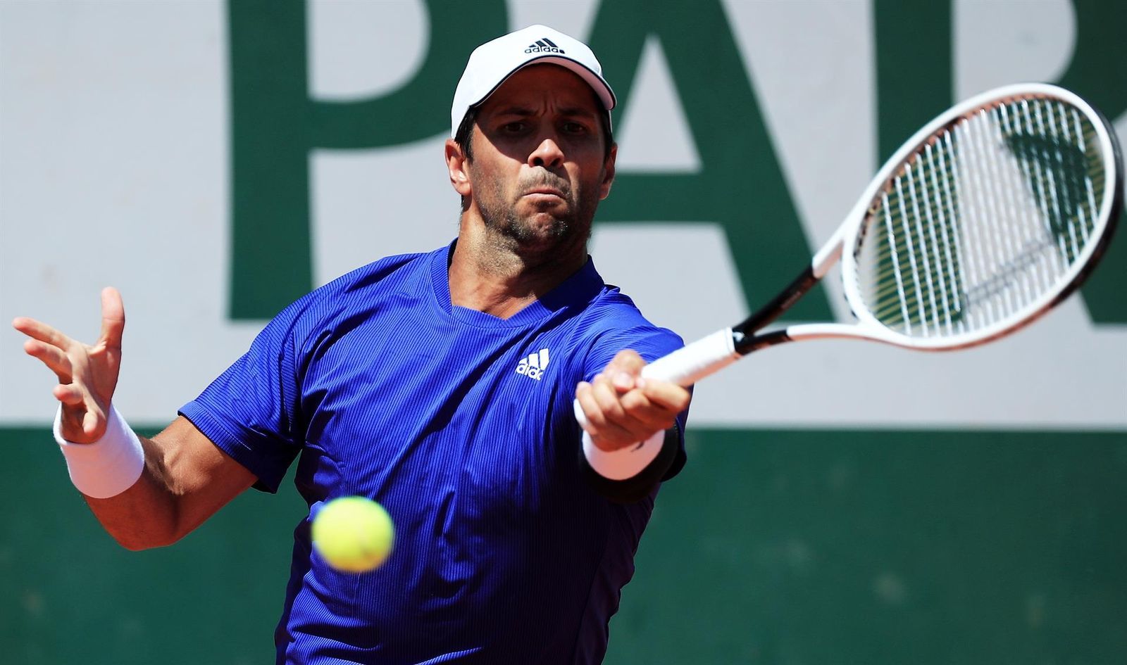 Fernando Verdasco
