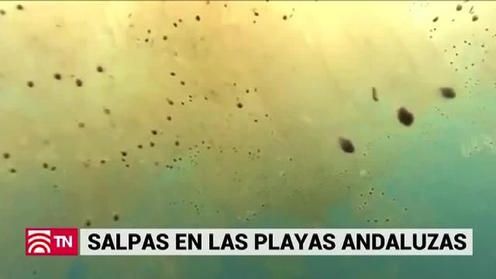 El Tiempo 23.06.2019