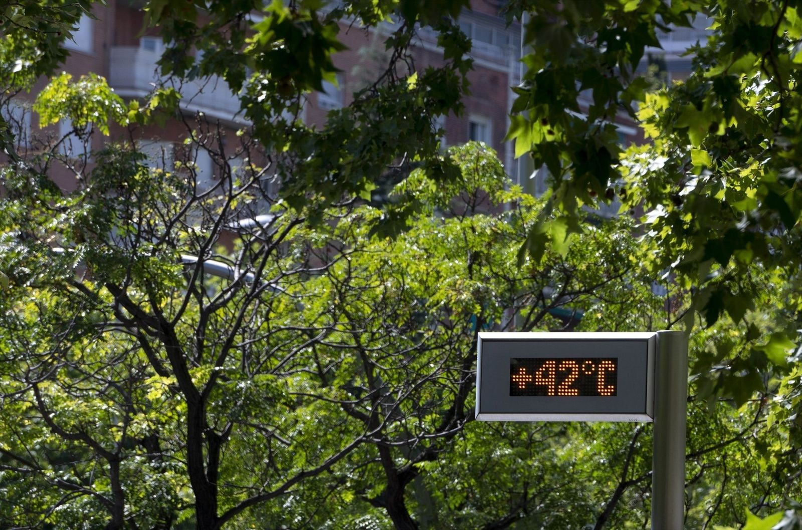 Cuarta ola de calor: mañanas de infierno, noches de insomnio