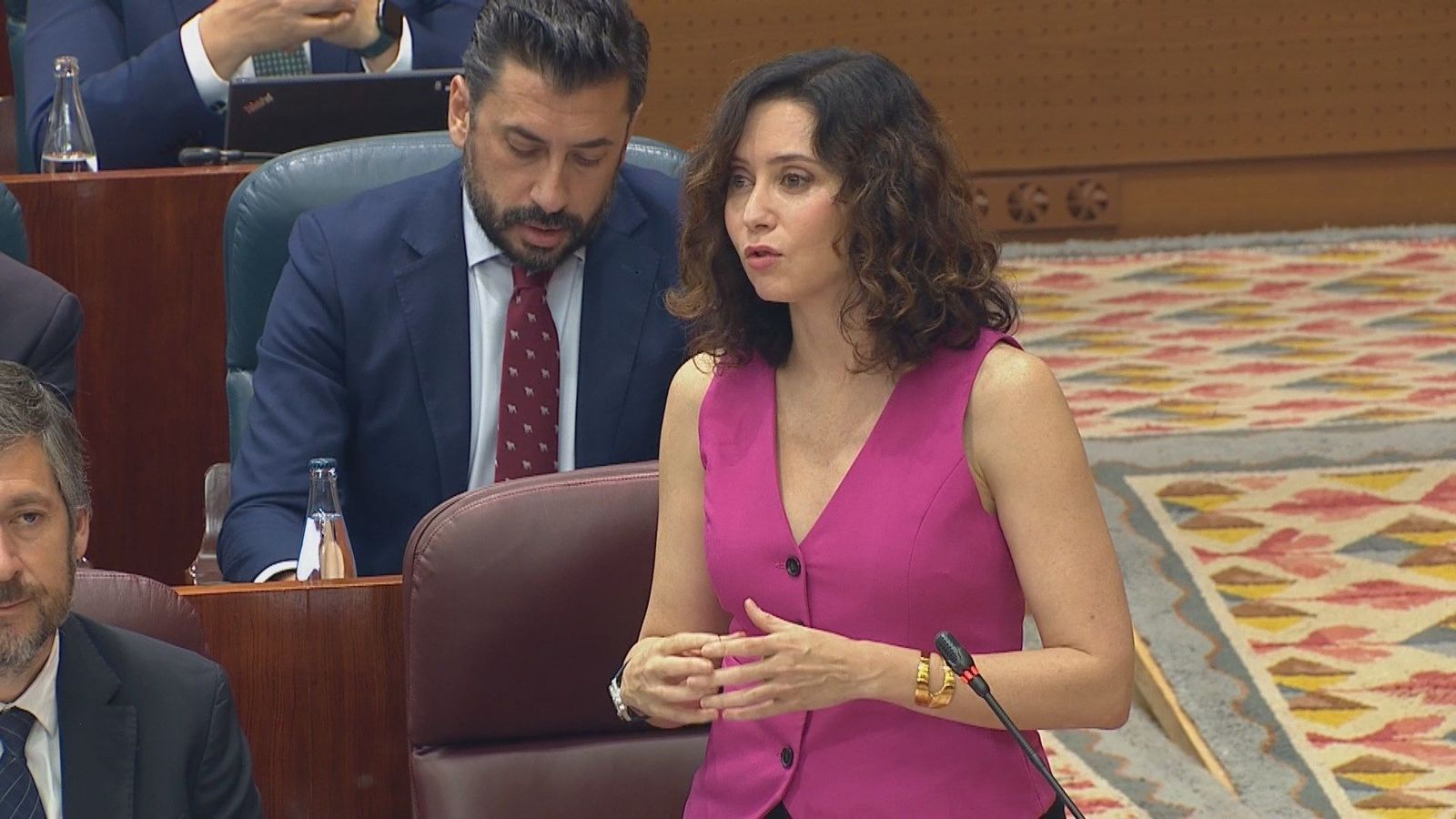 Tensión en la Asamblea de Madrid por las intervenciones sobre Israel y Gaza