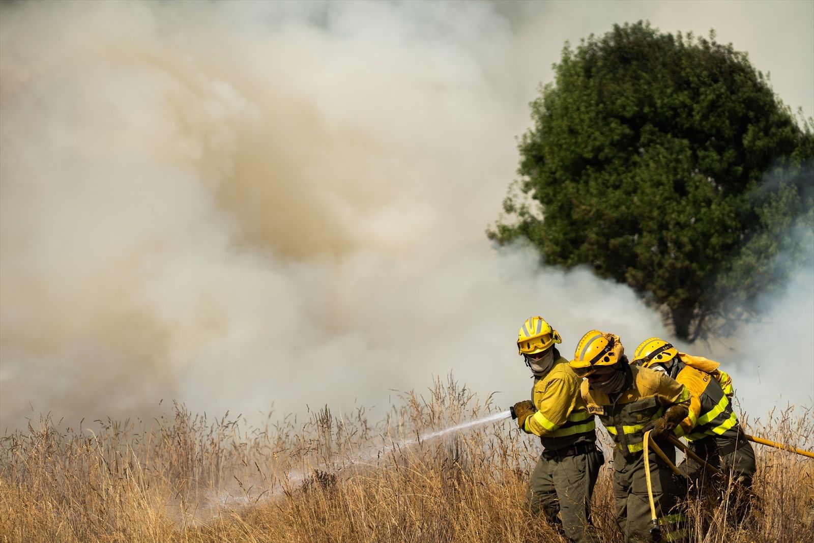Bomberos forestales de Castilla y León