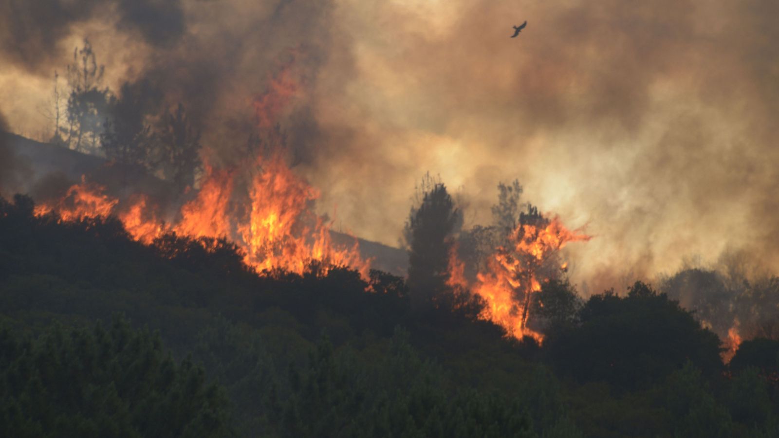 Incendios en Tarragona, Lugo y Teruel, los tres fuegos que más preocupan por su rápida expansión