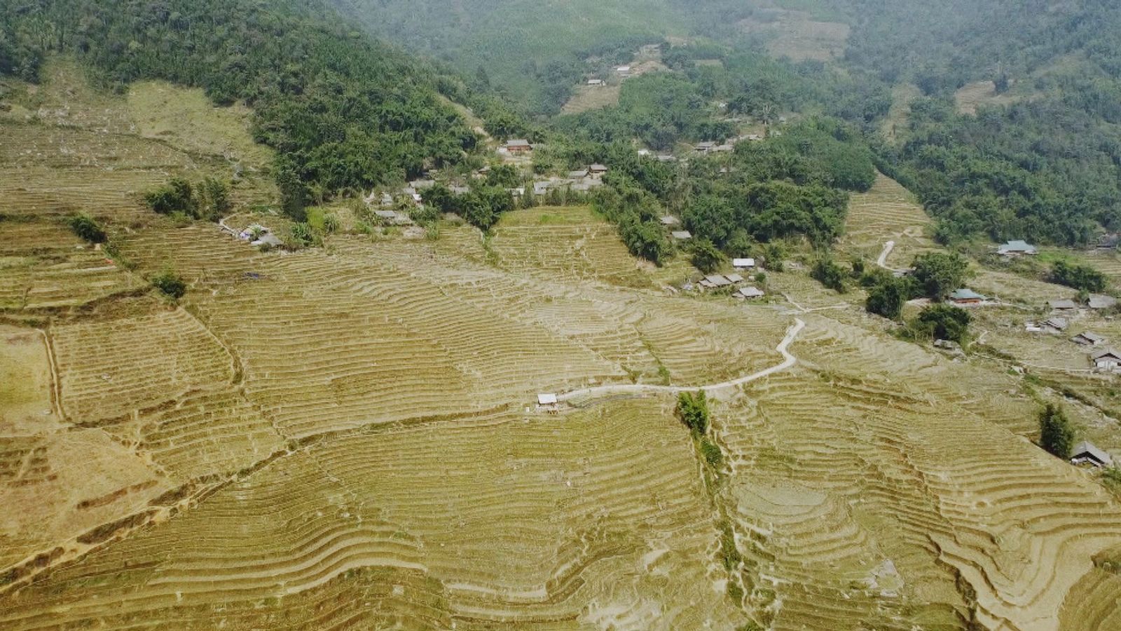 Terrazas de arroz de Sapa, Vietnam