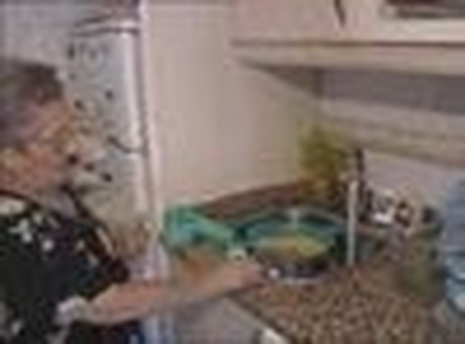 AGUA2_2010715V0.wmv