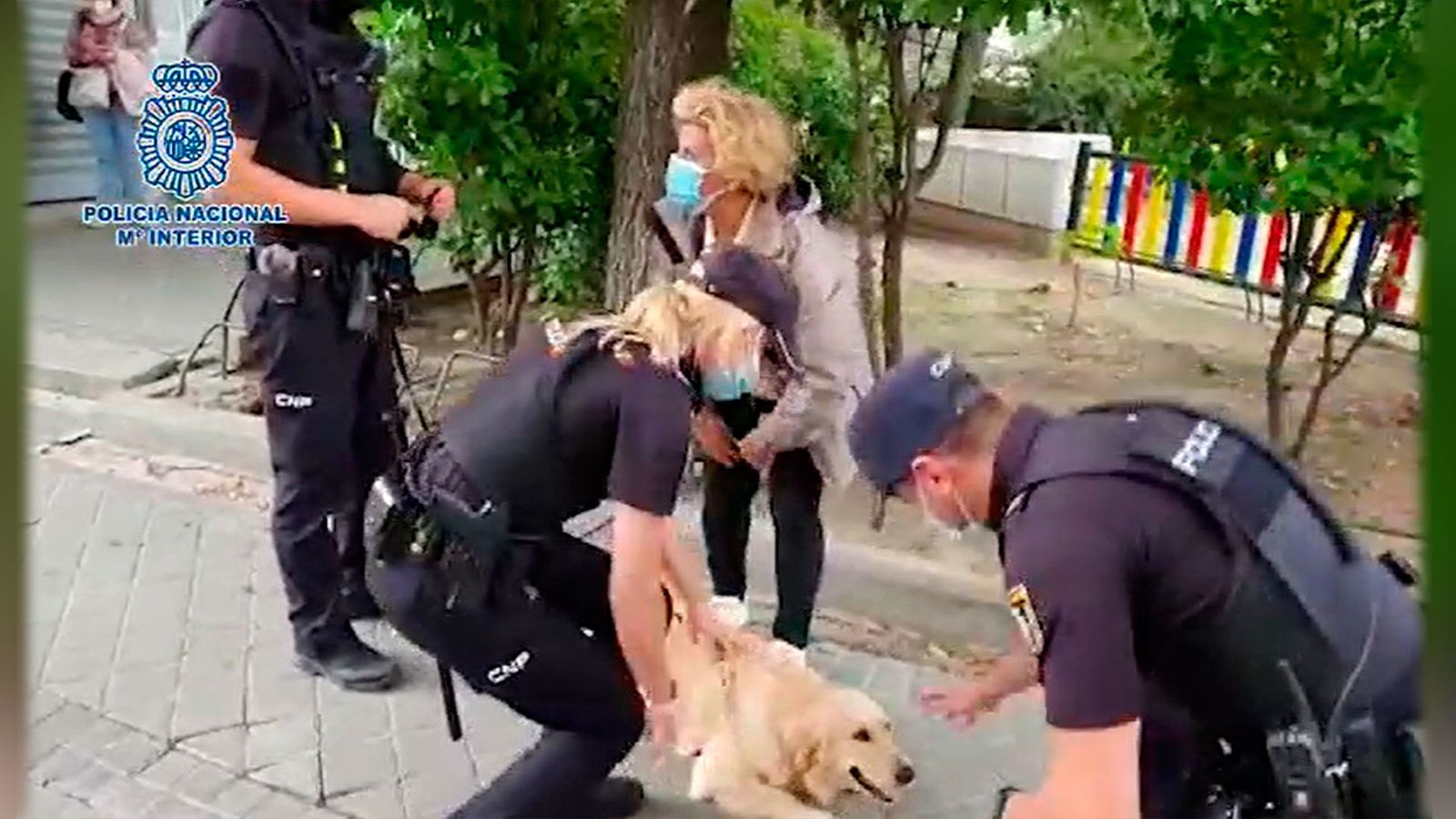 Detenido un hombre tras robar un coche con un perro dentro en el barrio de Barajas