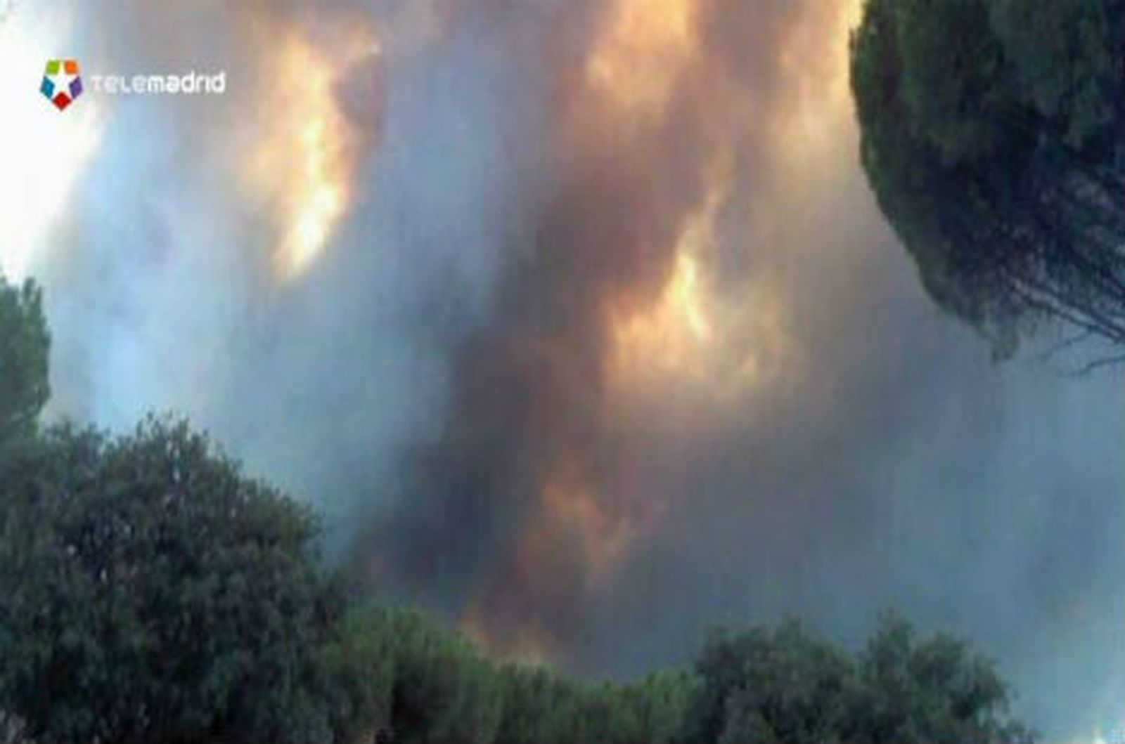 Se da por controlado el fuego de Avila que ha afectado a 1.000 hectáreas