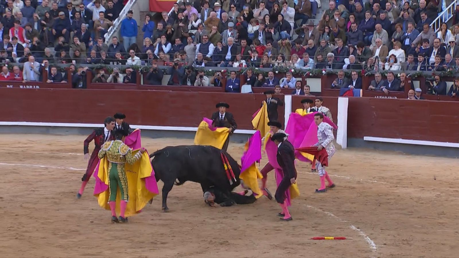 Curro Javier herido