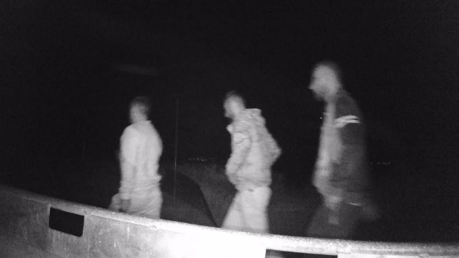 La Guardia Civil detiene a tres personas por el robo de 77 corderos en La Rioja