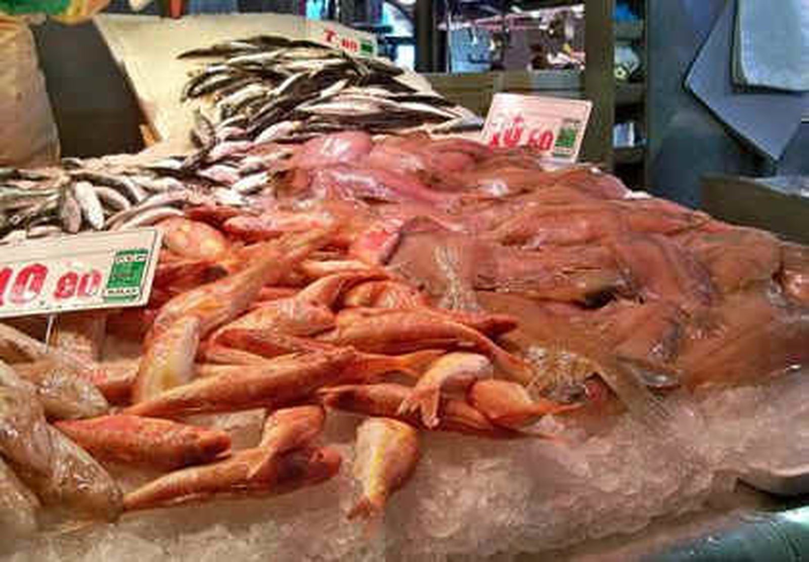 España agota su pescado propio para todo 2011 y a partir del lunes dependerá del pescado exterior