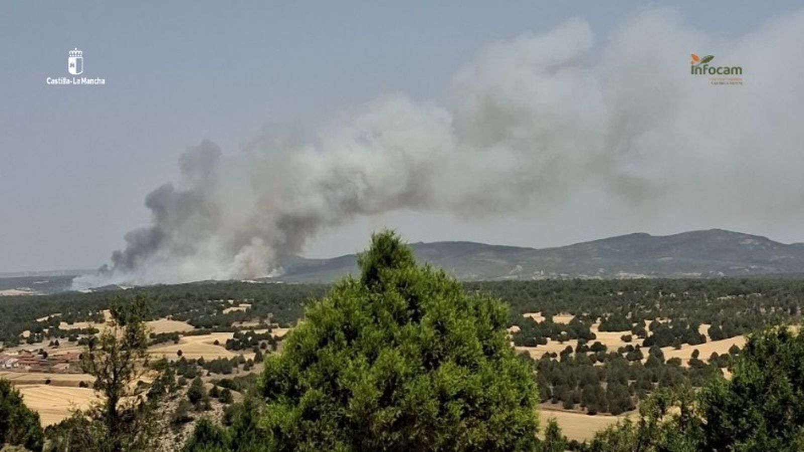 Columna de humo en el incendio de Selas, Guadalajara