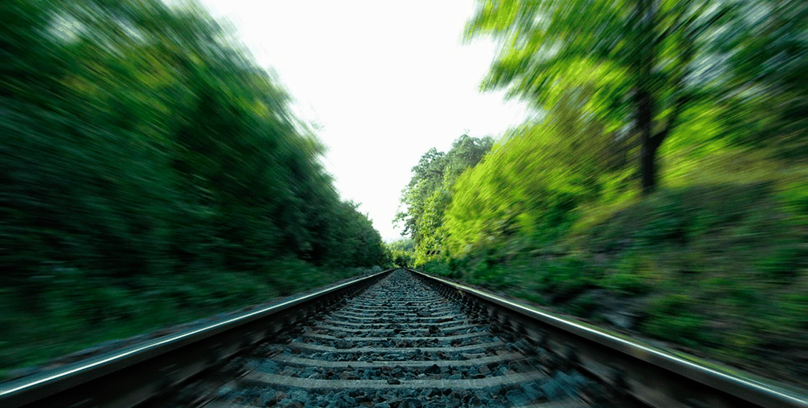 ¡Vuelve el Tren de la Naturaleza!
