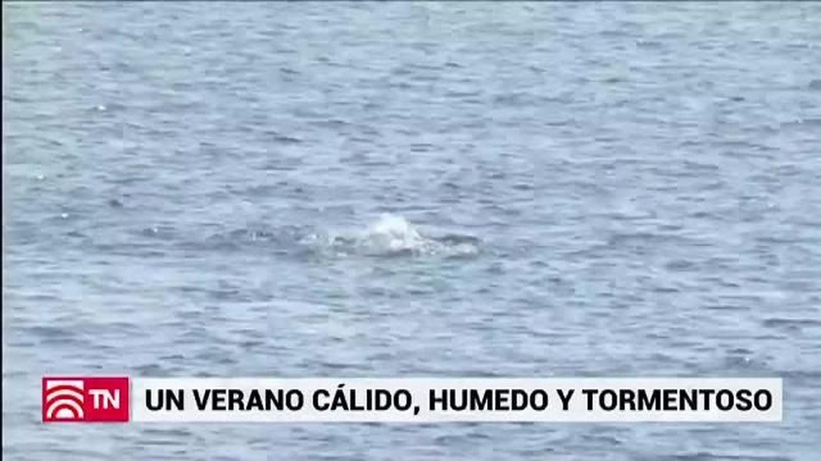 El Tiempo 1 22.09.2018