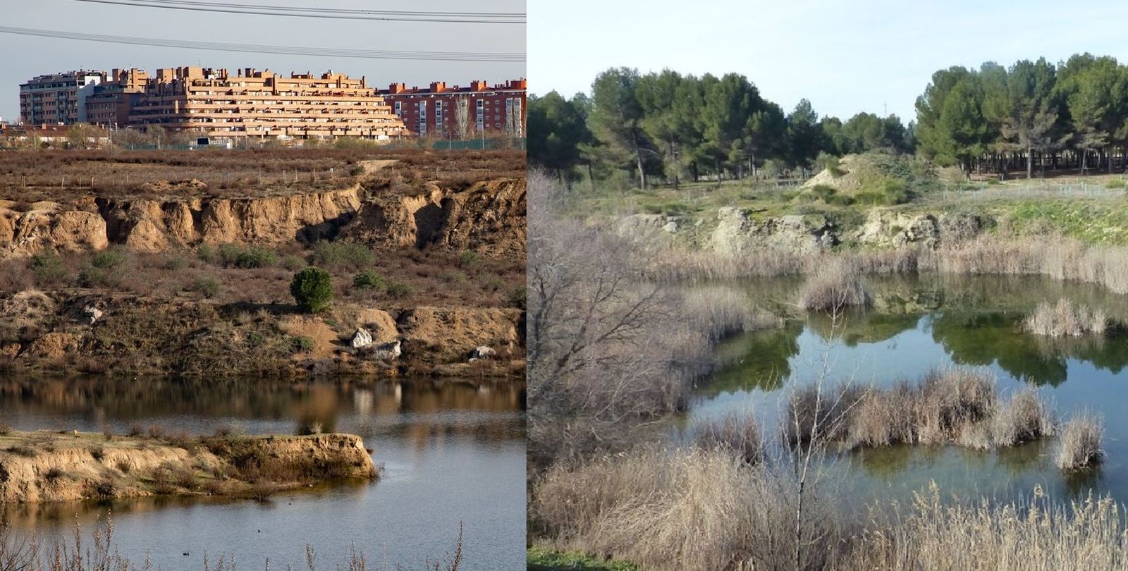 Las lagunas de Ambroz, en San Blas-Canillejas (i) y las de Horna, en Getafe (d)