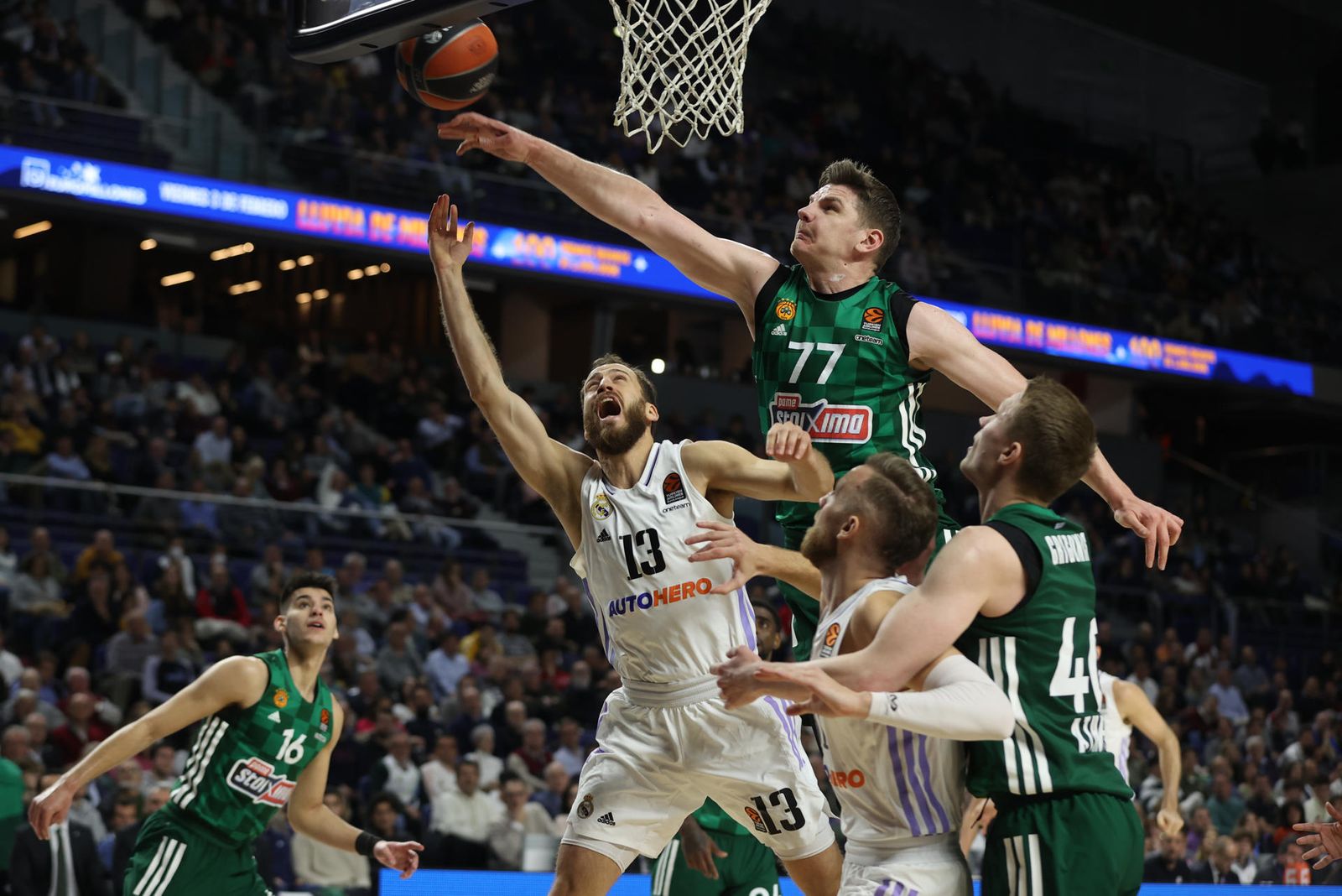 Real Madrid - Panathinaikos