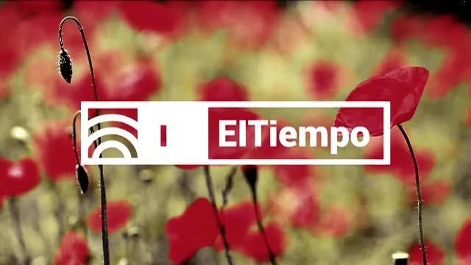 El Tiempo 1 23.10.2017