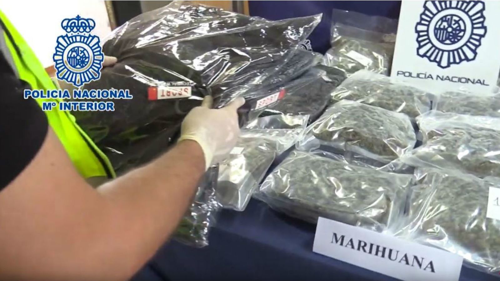 Marihuana incautada
