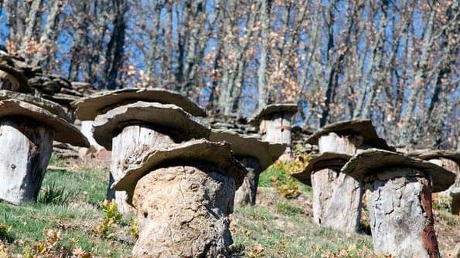 Colmenar en la Sierra Norte de Madrid