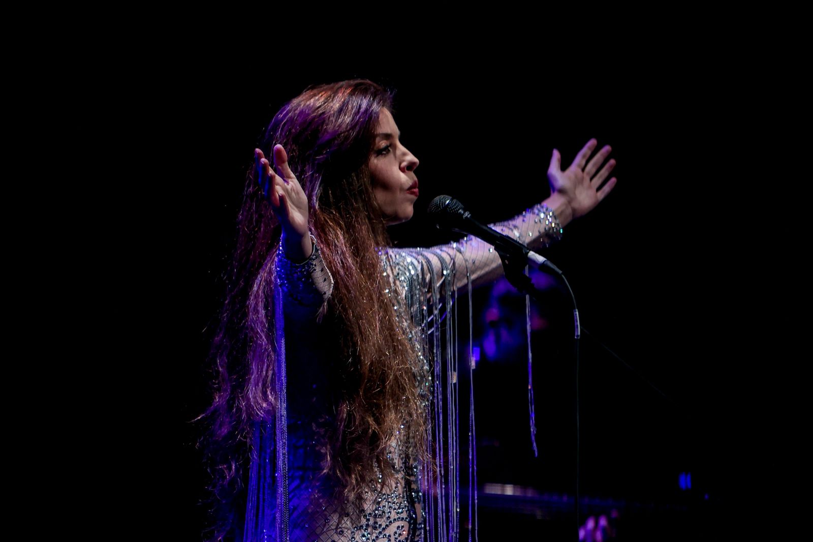 Soleá Morente, Martirio y Eliseo Parra actuarán en una nueva edición de Música en la Villa