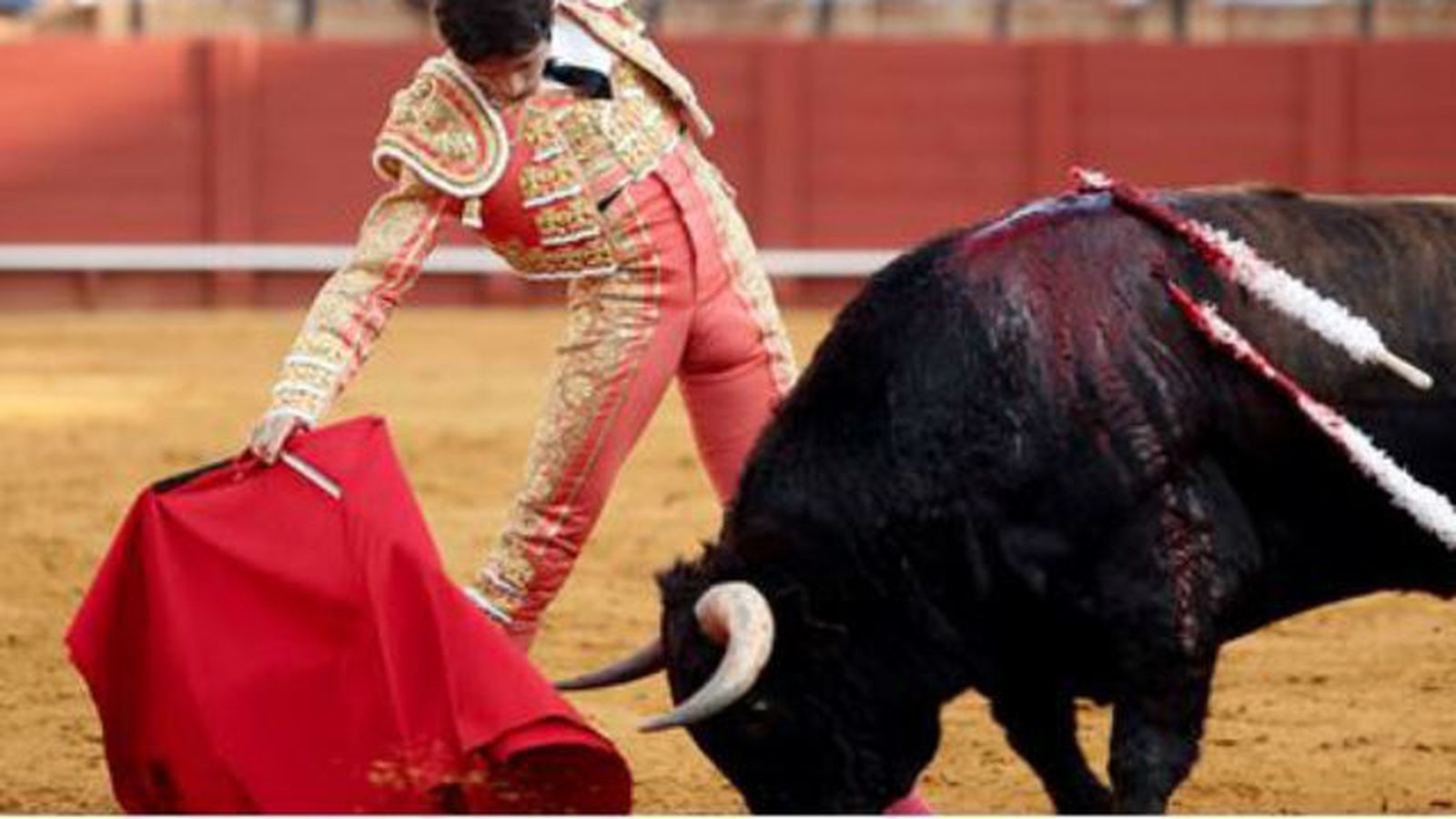 Toros