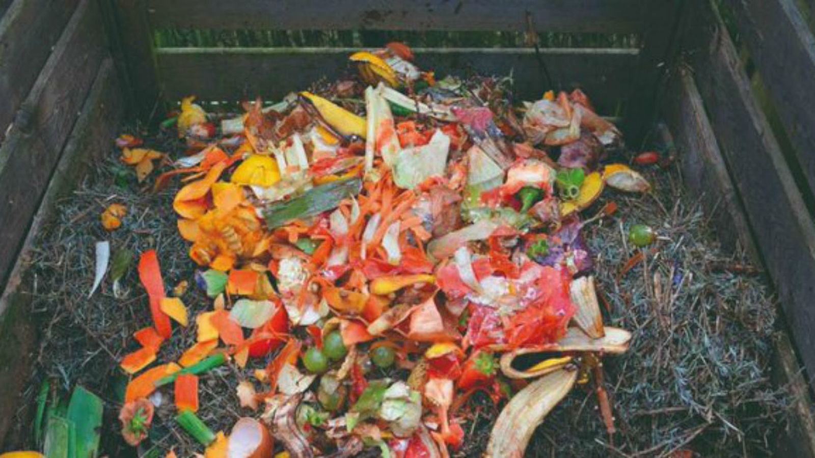 Interior de un contenedor para producir compost