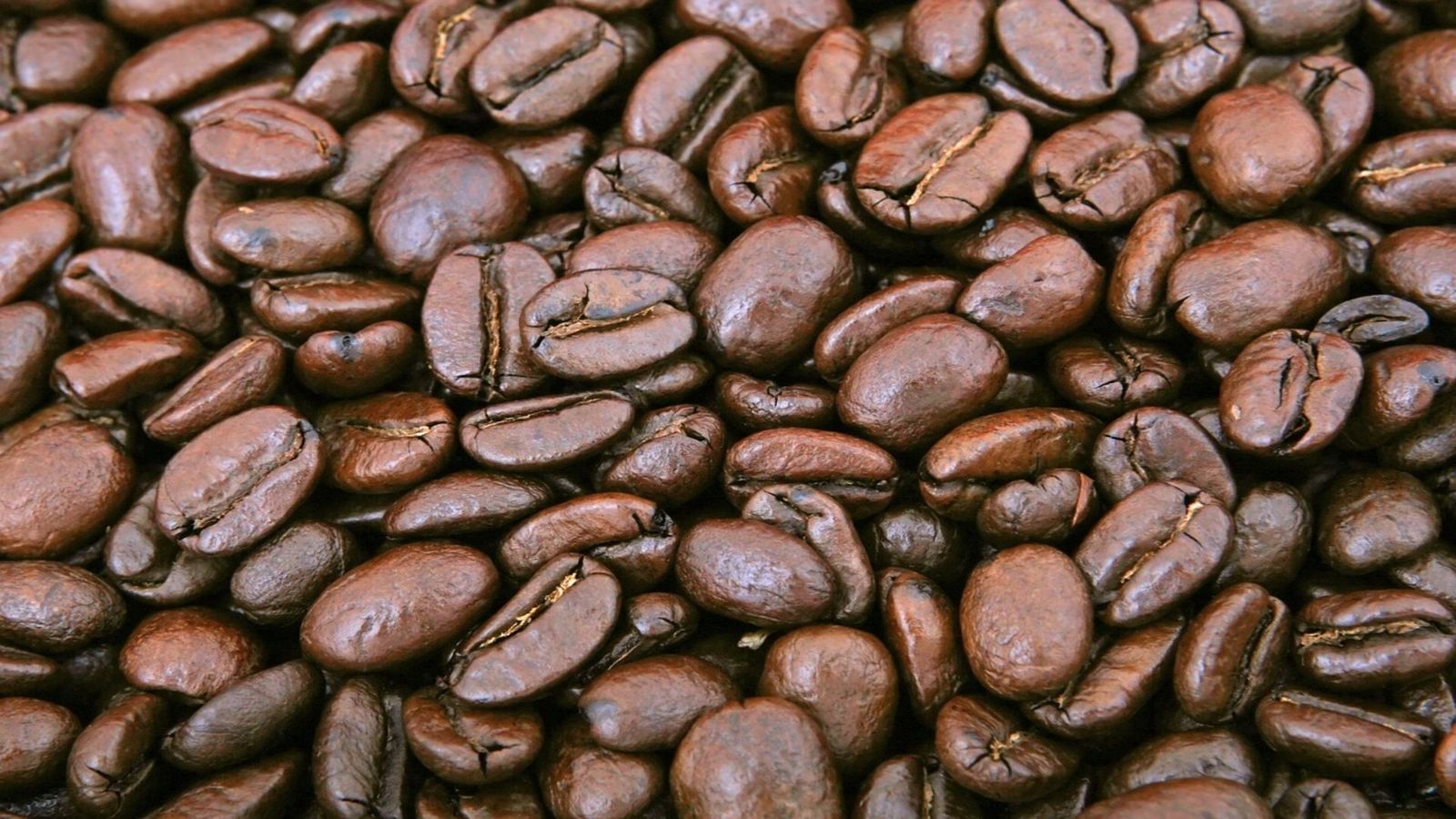 Llega a Madrid una cafetería inspirada en Japón