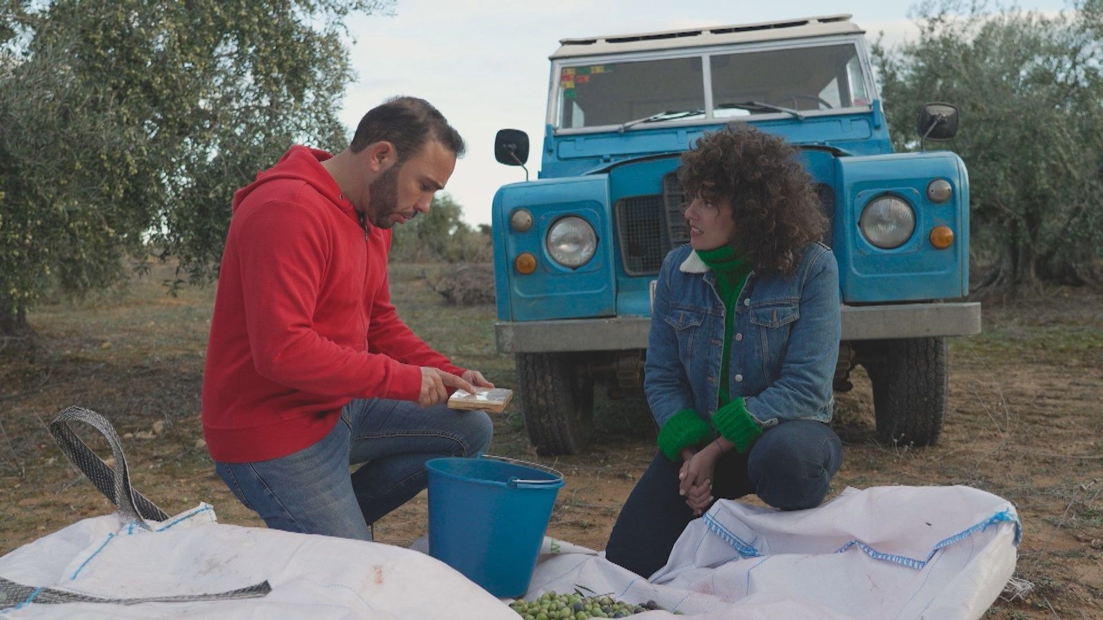 Nos vamos a Torrelaguna a "ordeñar" olivos