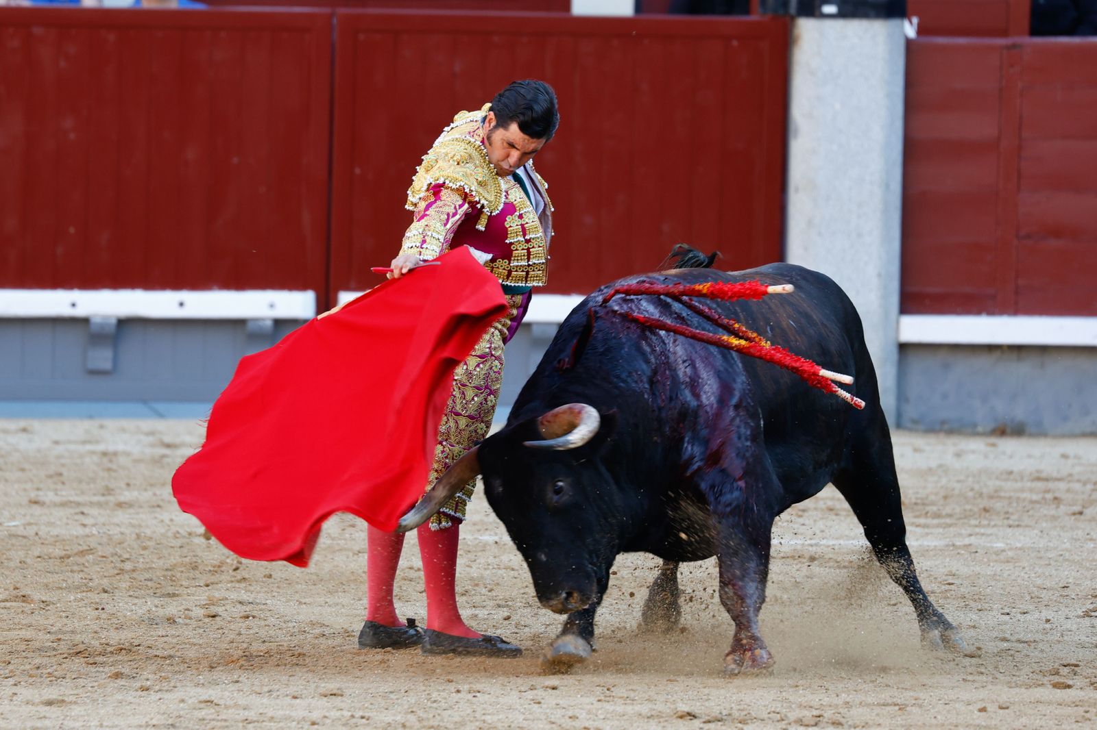 Feria de San Isidro: 29 festejos, 29 retransmisiones en directo en Telemadrid y en Telemadrid.es