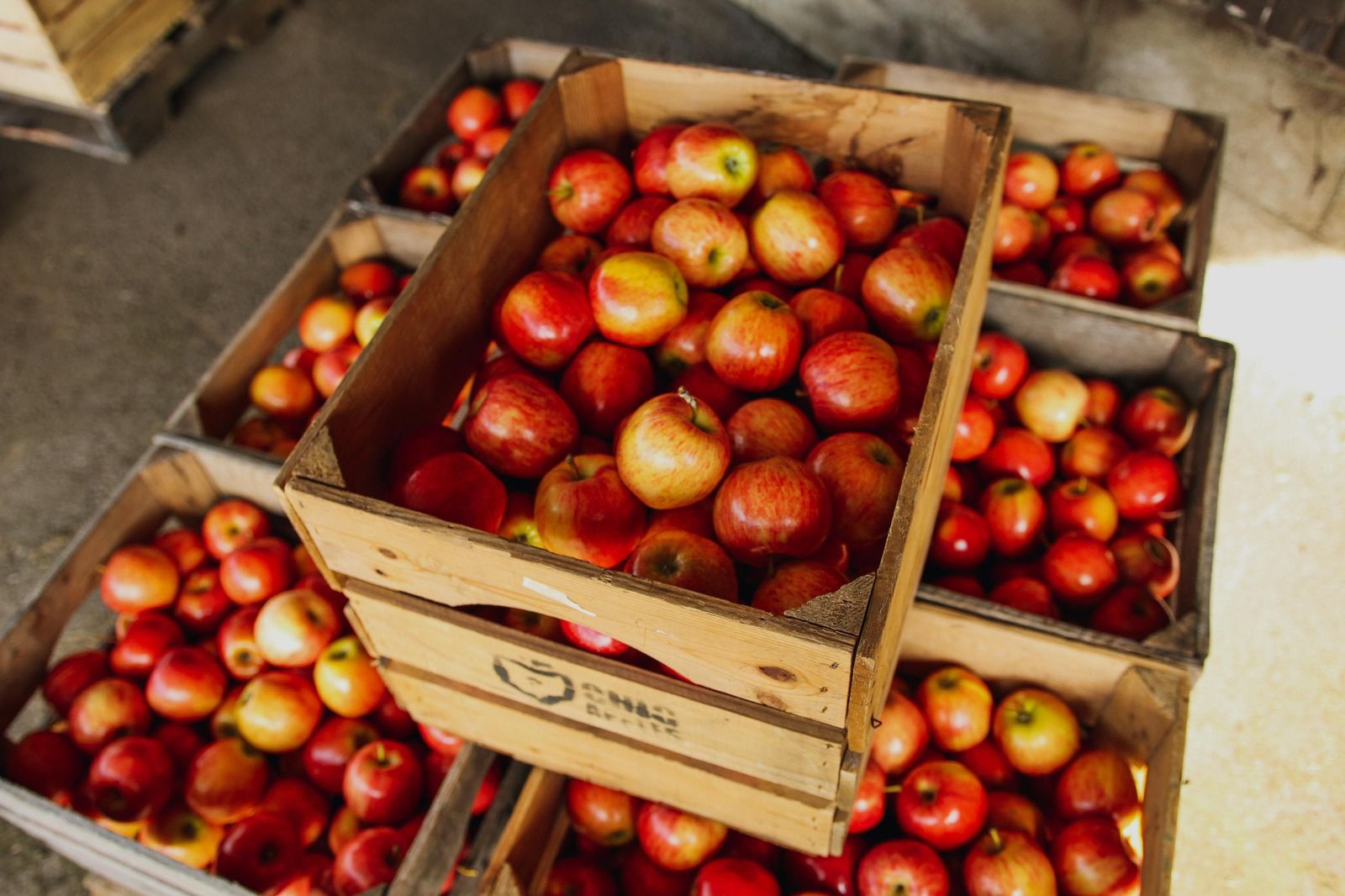 ¿En qué sector se encarecen los alimentos?: "En las empresas de distribución nadie se está forrando"