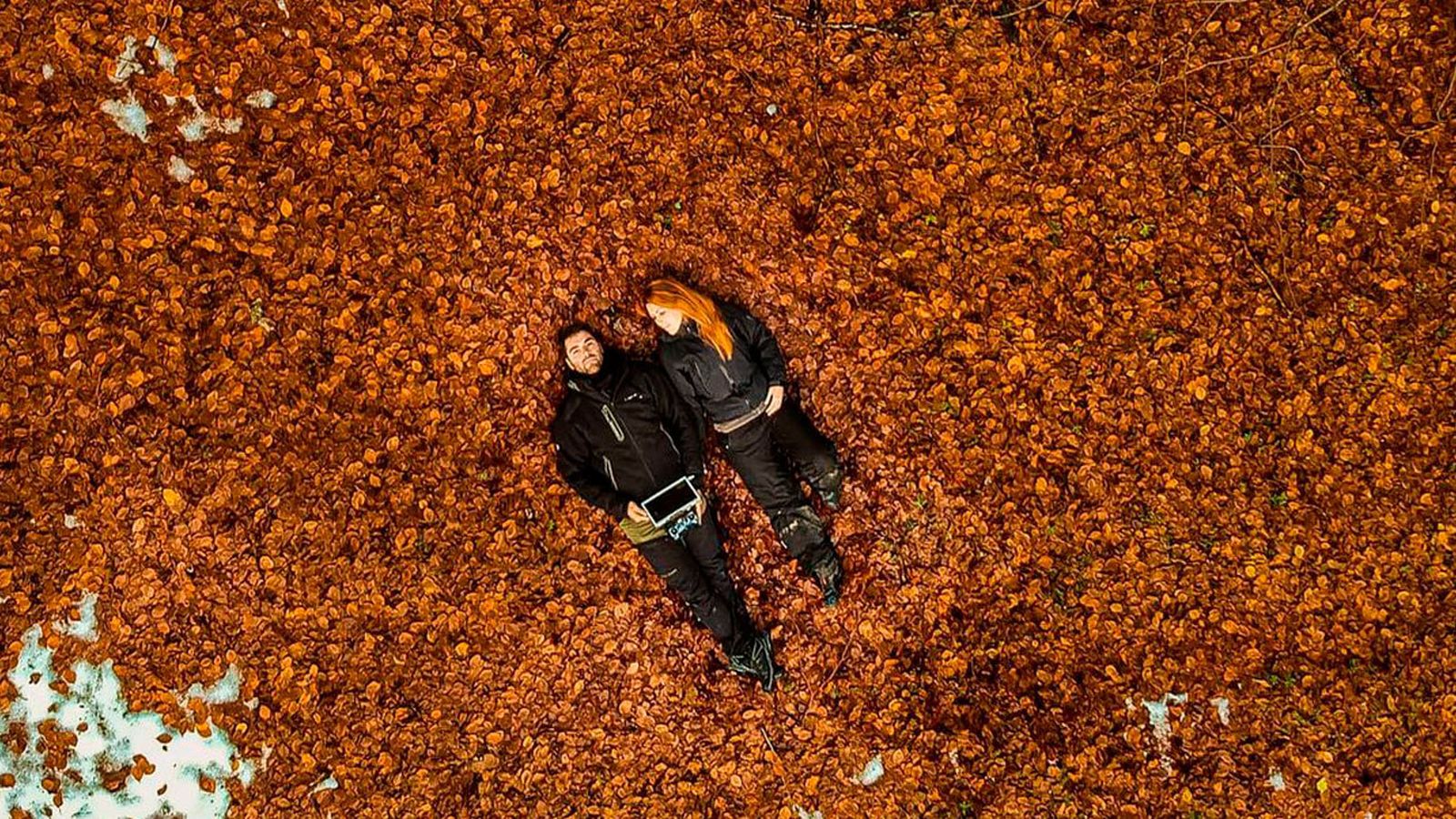 Sobre un manto de hojas en la Sierra de Guadarrama