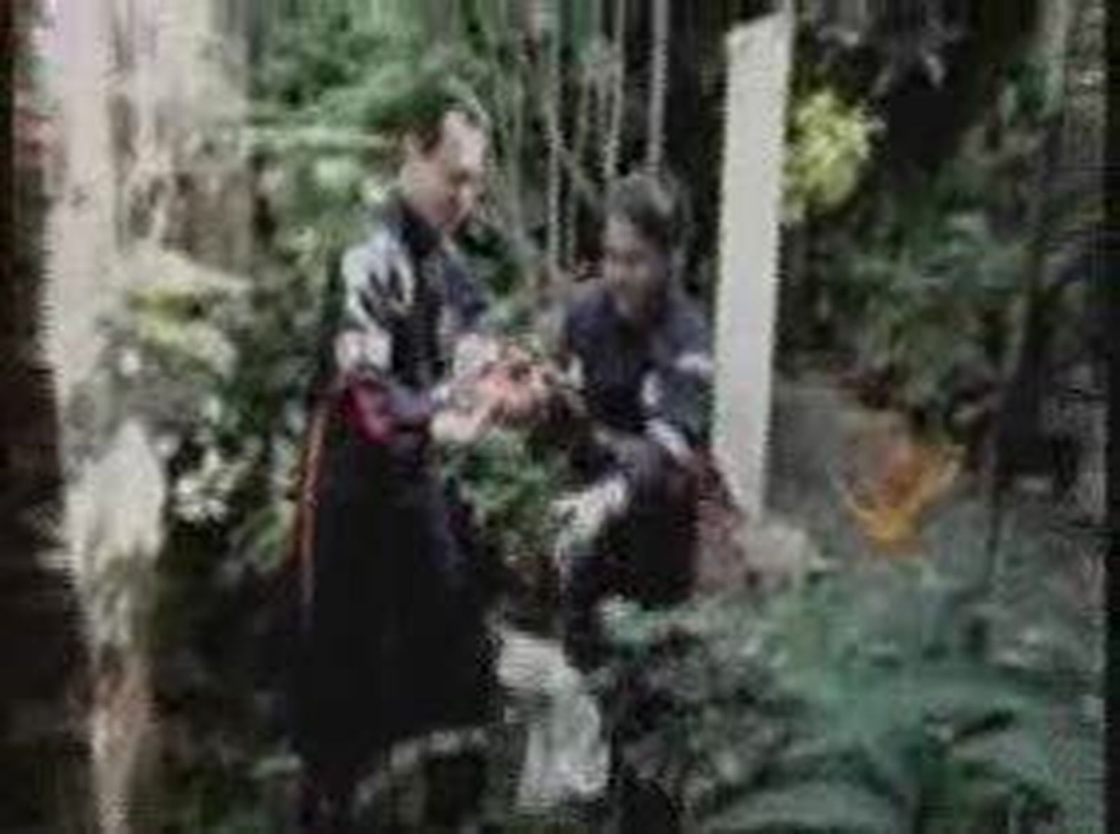 belen_20101228V0.wmv