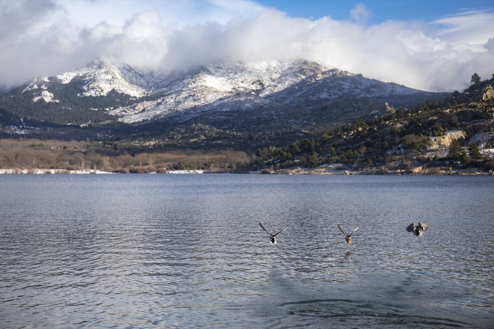 Pico de La Maliciosa nevado