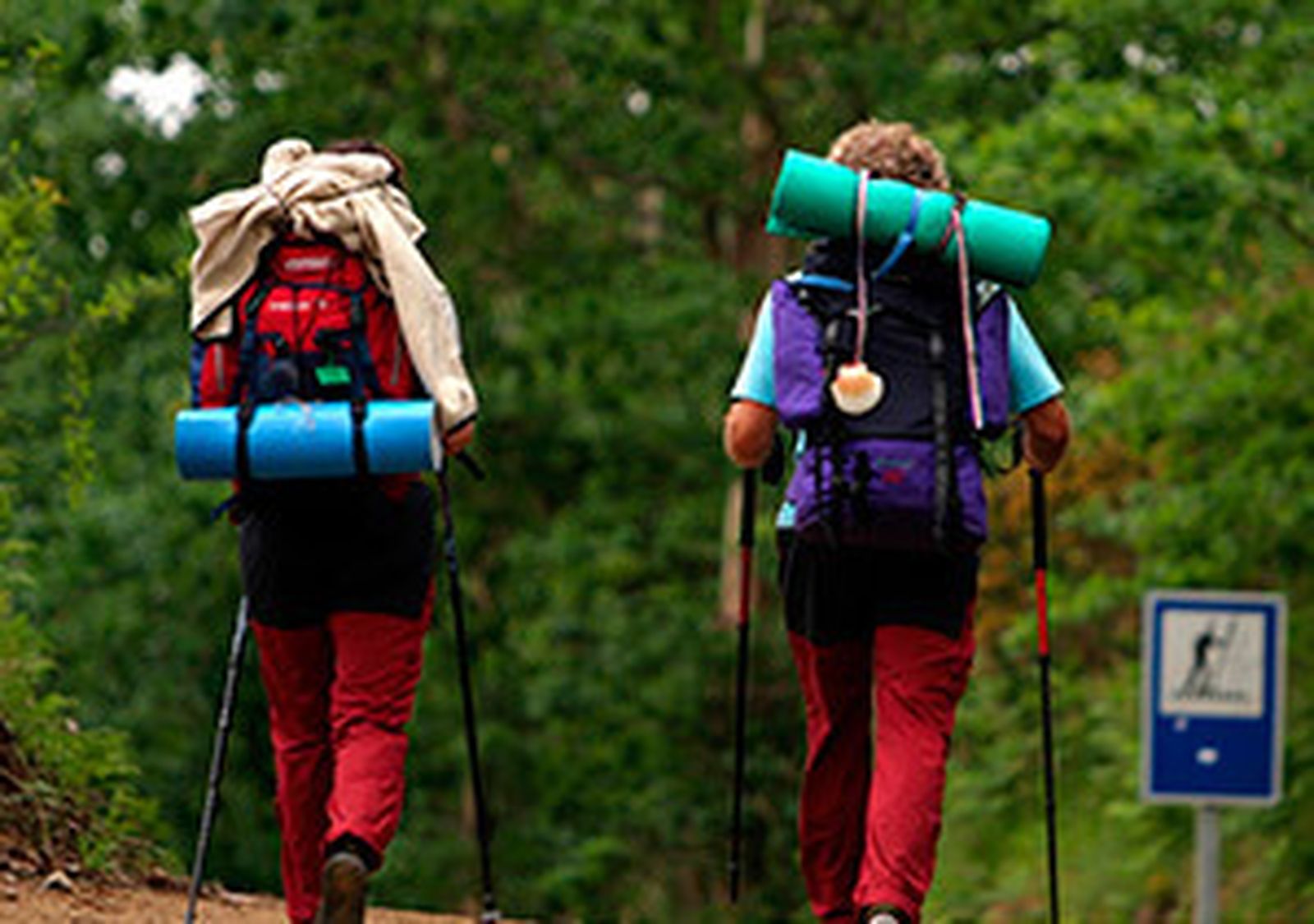Camino de Santiago