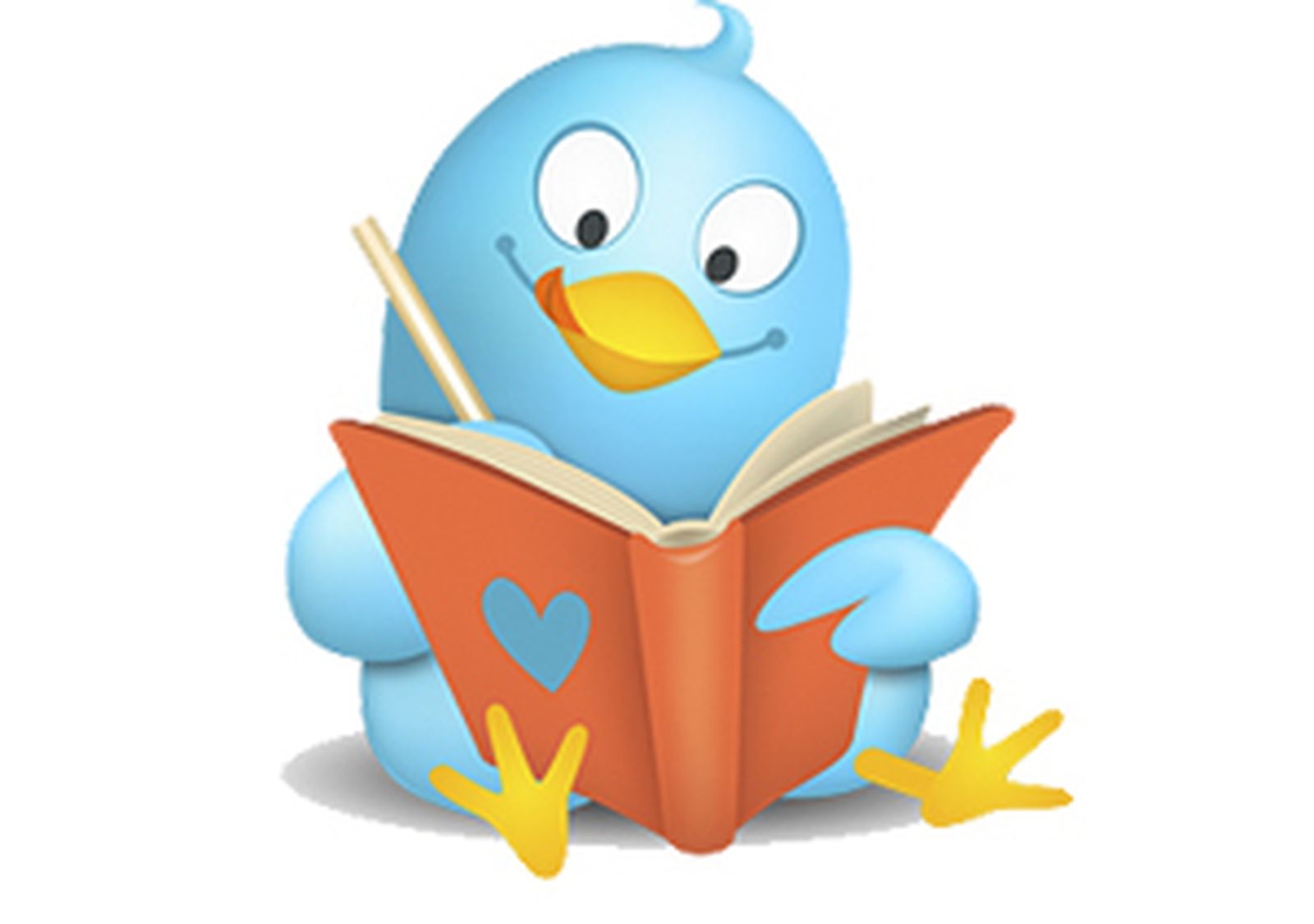 twitterpajaro300