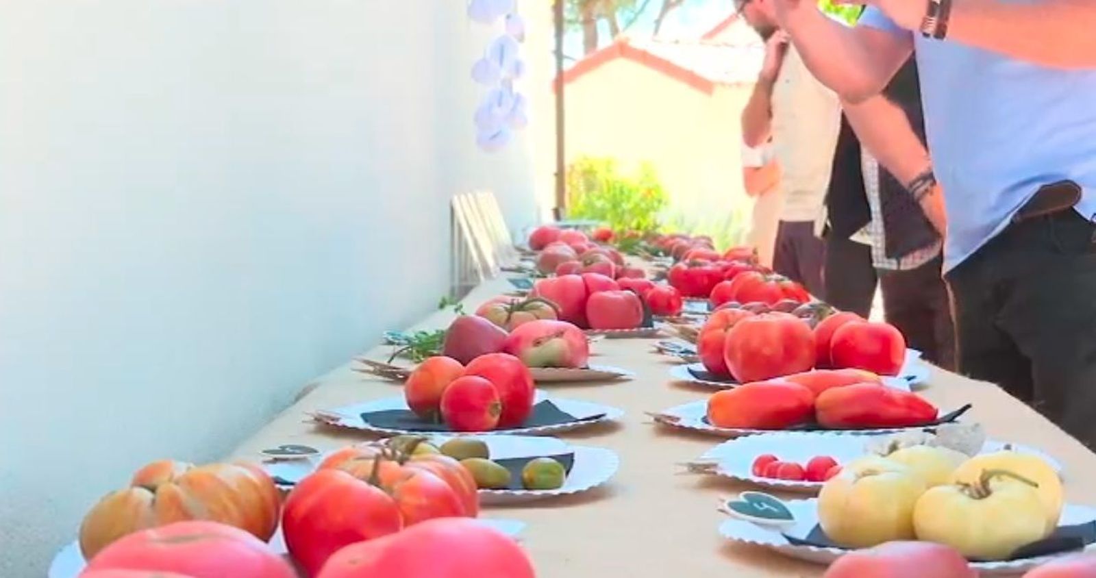 Homenaje al tomate de Madrid en Las Rozas