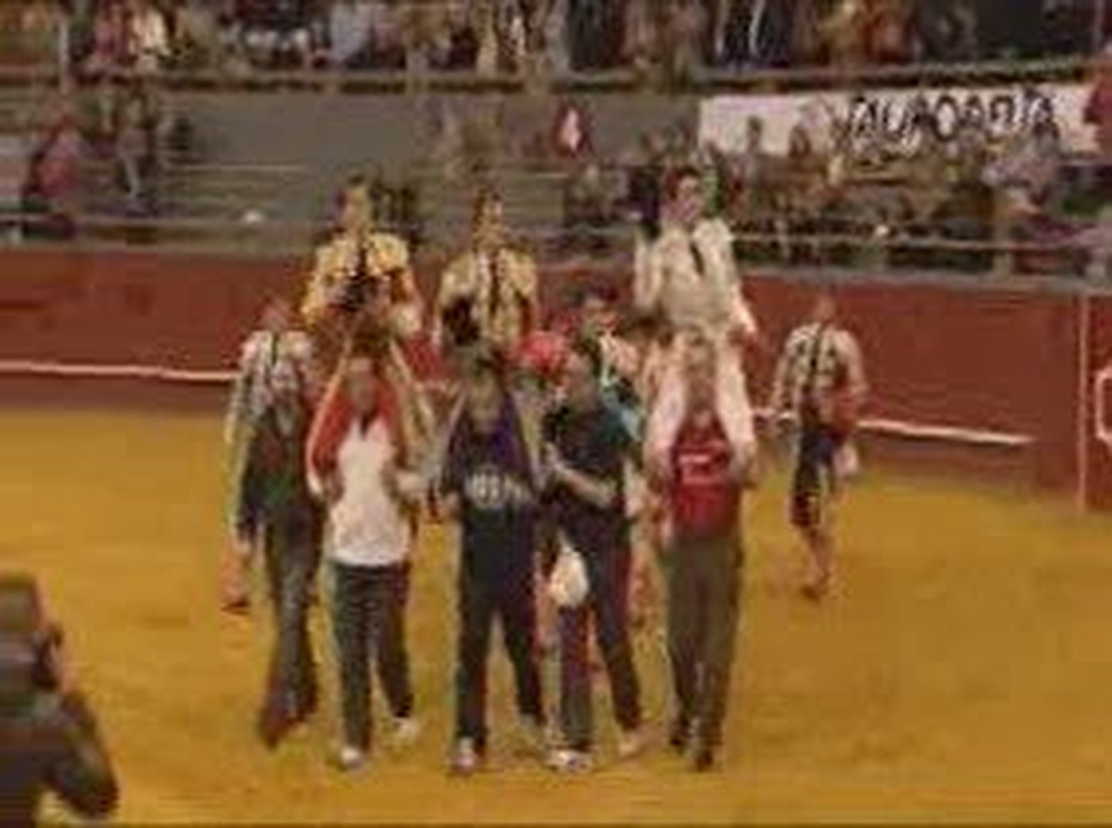 TOROS_2011227V0.wmv