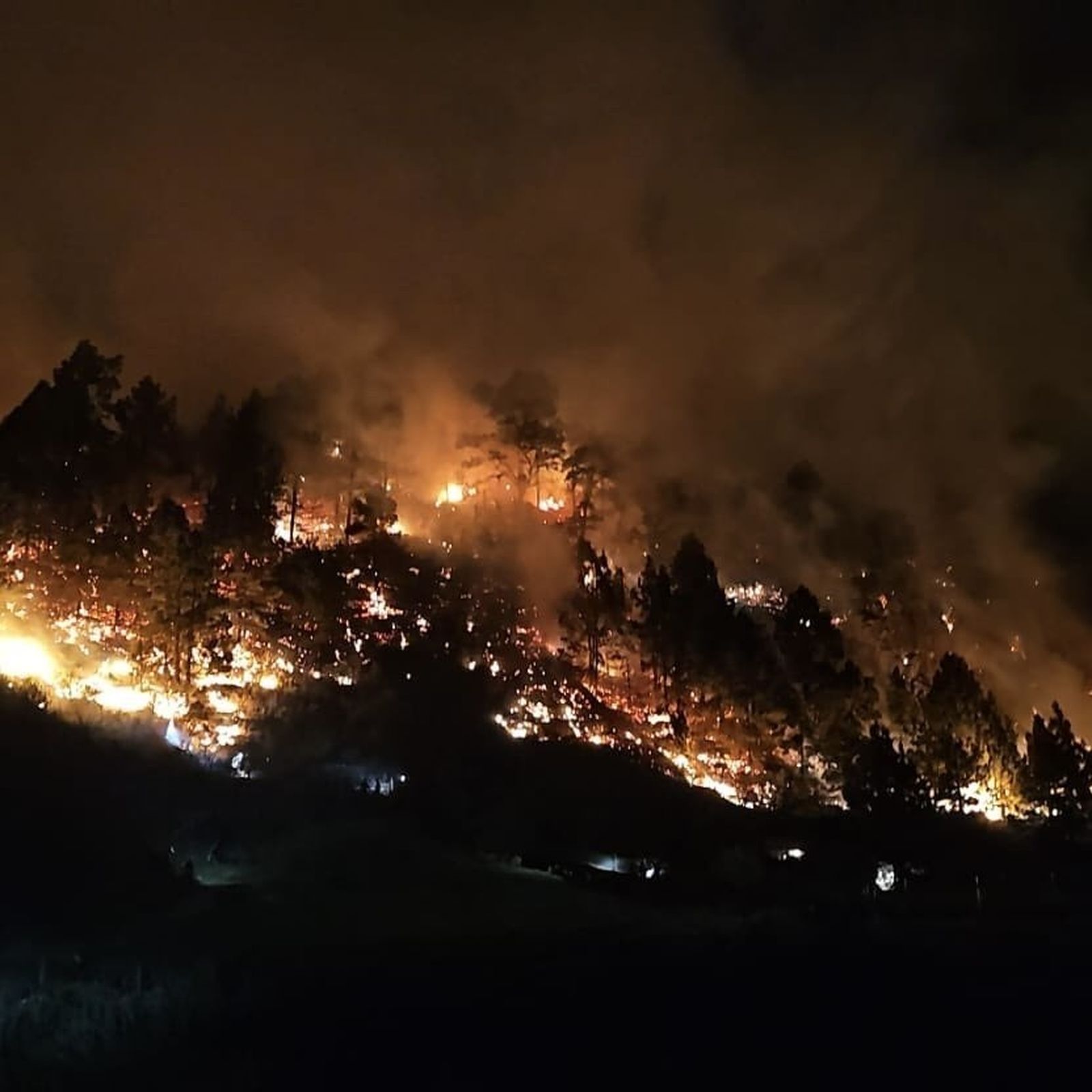 200 personas evacuadas por un incendio forestal en La Palma