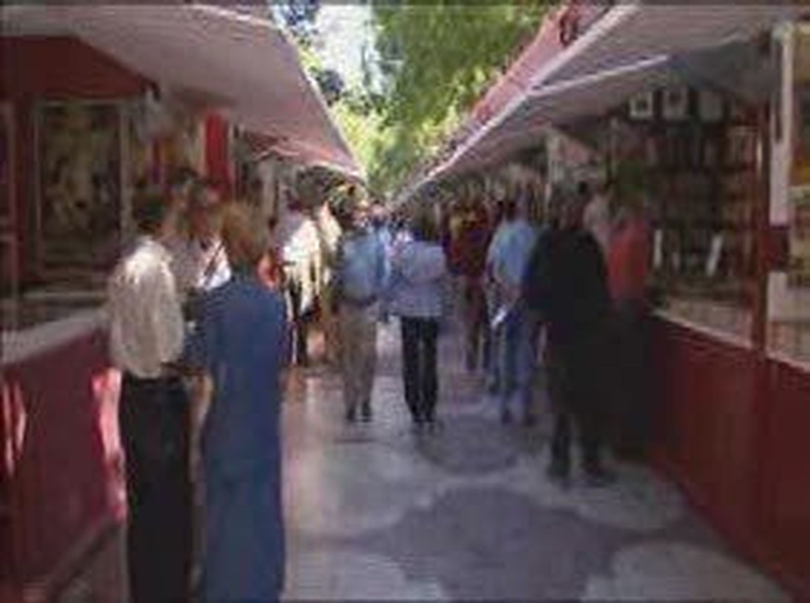 Feriadellibro_2010101V0.wmv
