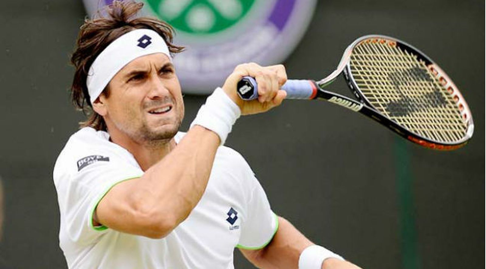 David Ferrer