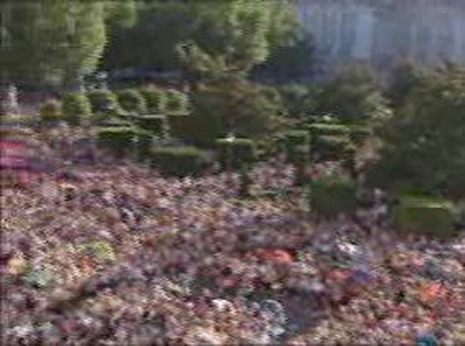 placido2_2010726V0.wmv